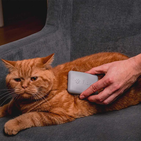 Hard brush
